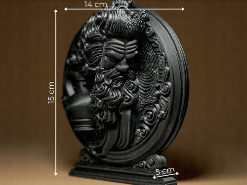 Aquarius - The WATER BEARER - Zodiac Series