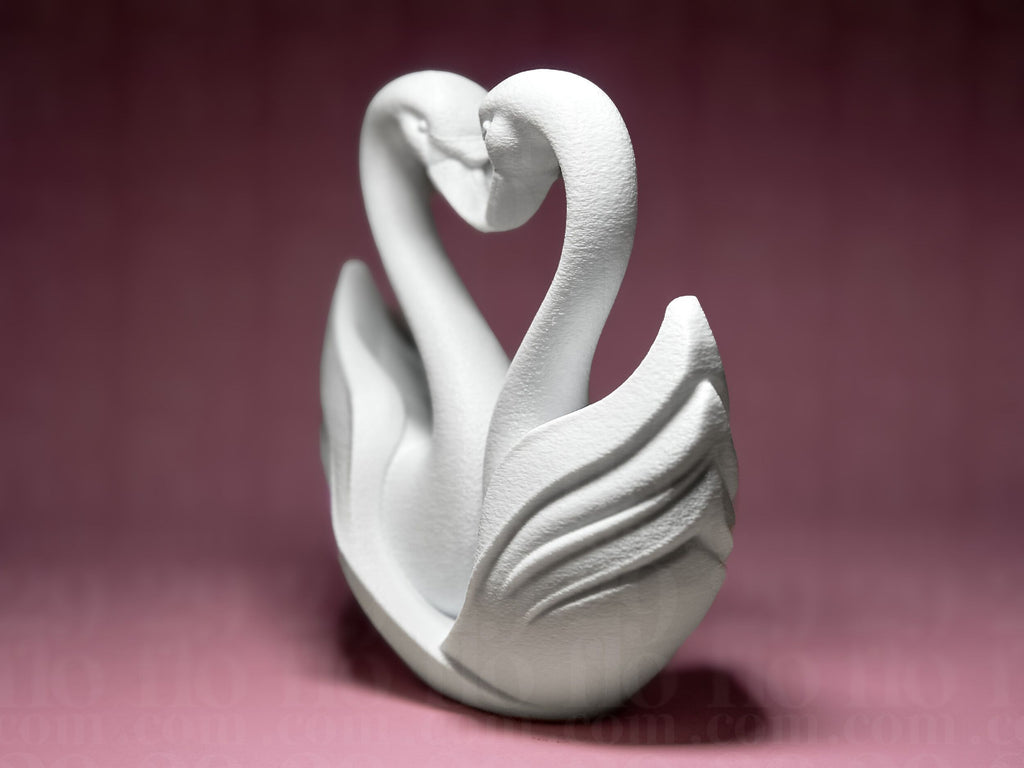Heart of Swans - Love Series